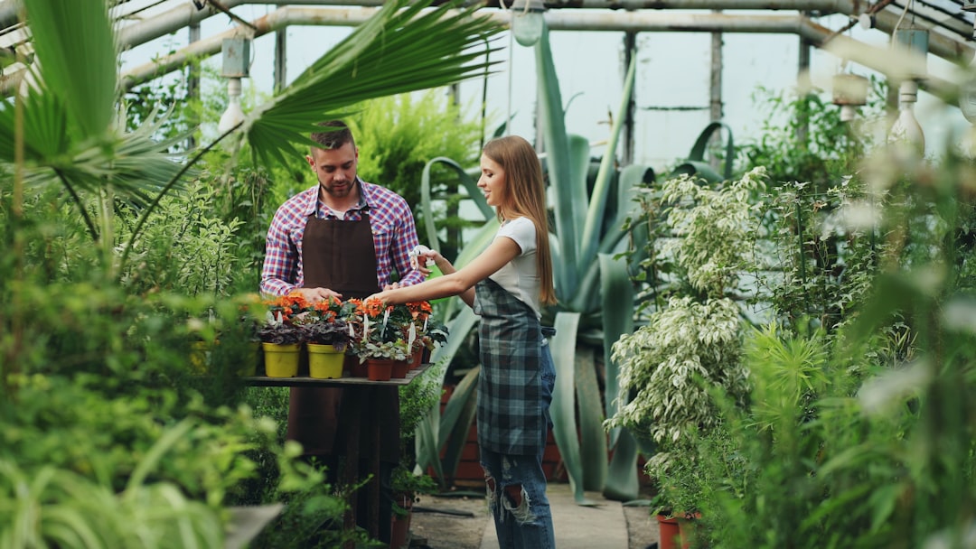 Yaz Çiçekleri Çeşitleri