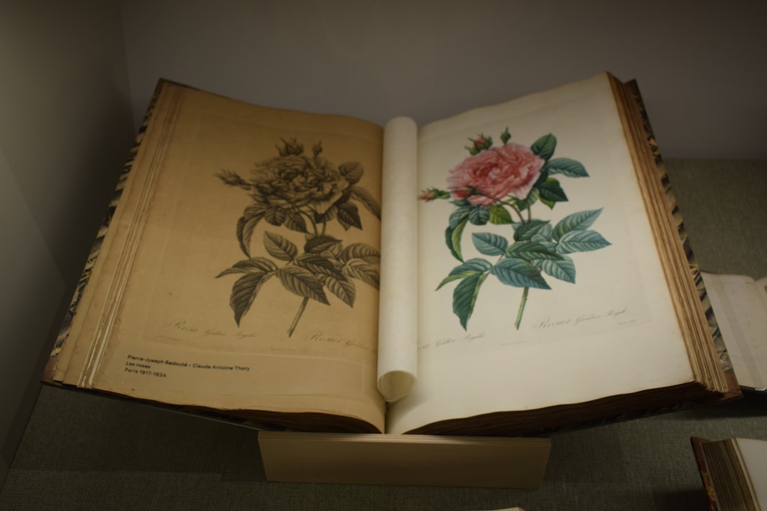 Masa Düzenlemesi Örneği