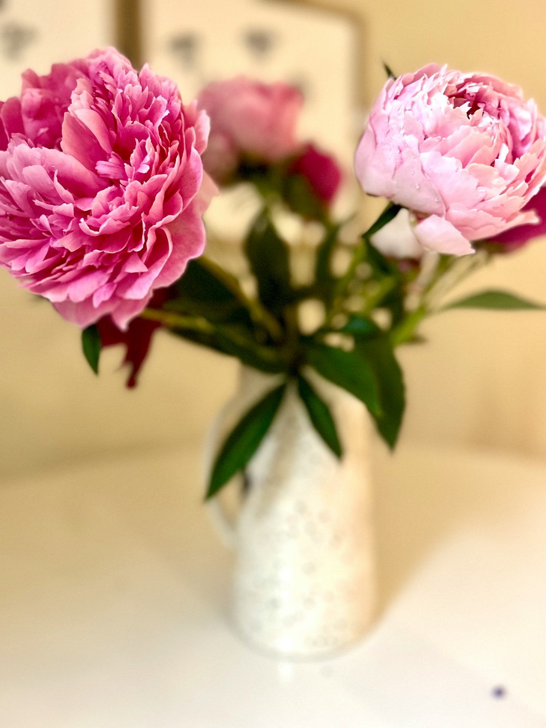 Farklı Orkide Türleri